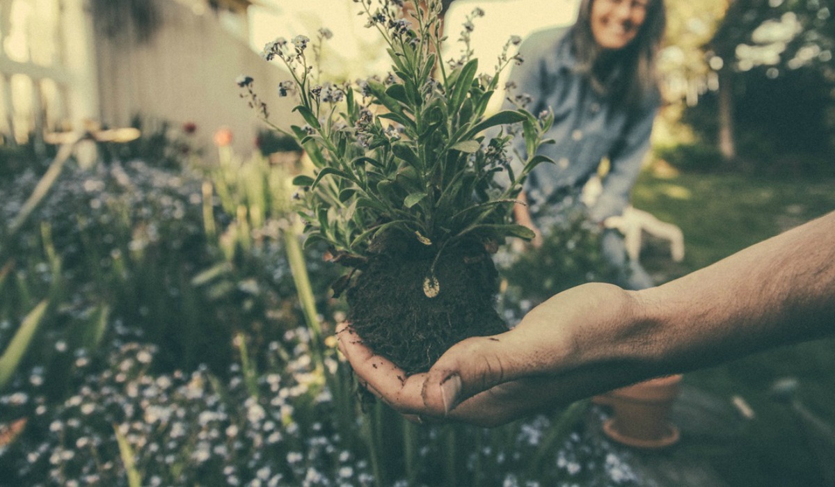 gardening