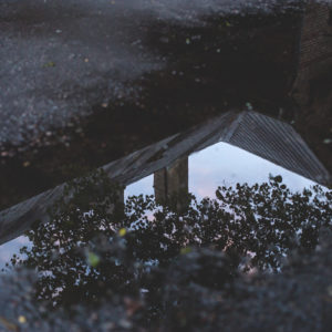Chelle Stearns Theology of Trauma