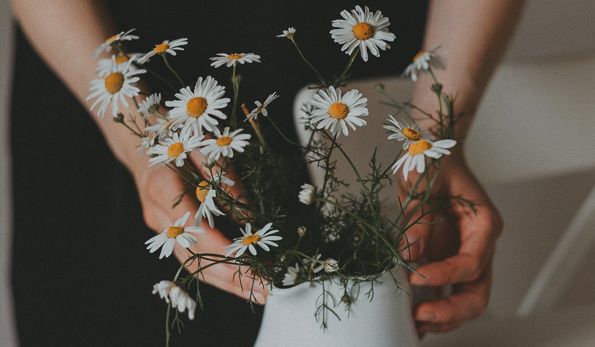 two hands holding a bouquet of daisies