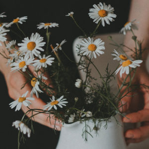 two hands holding a bouquet of daisies