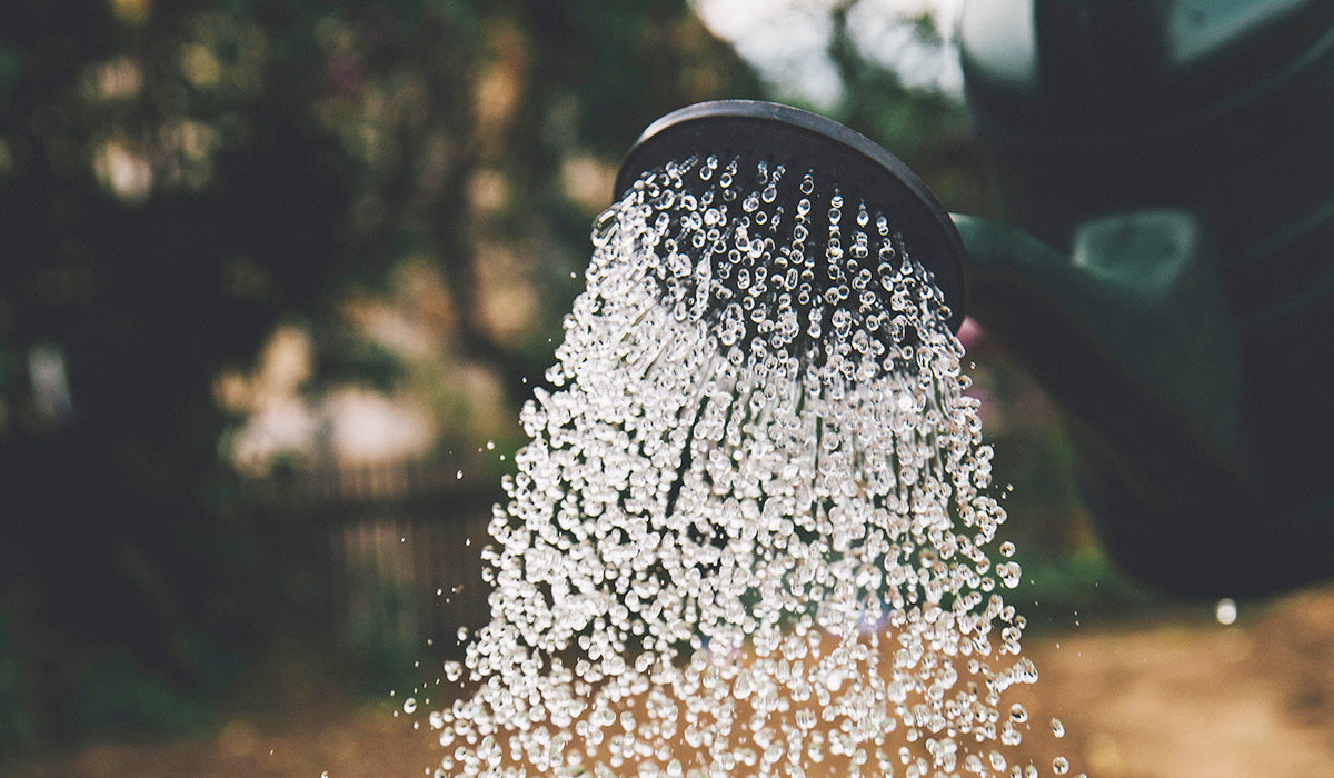 water coming out of a showerhead