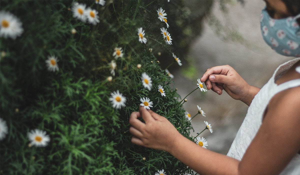 a child wearing a mask picking wildflowers